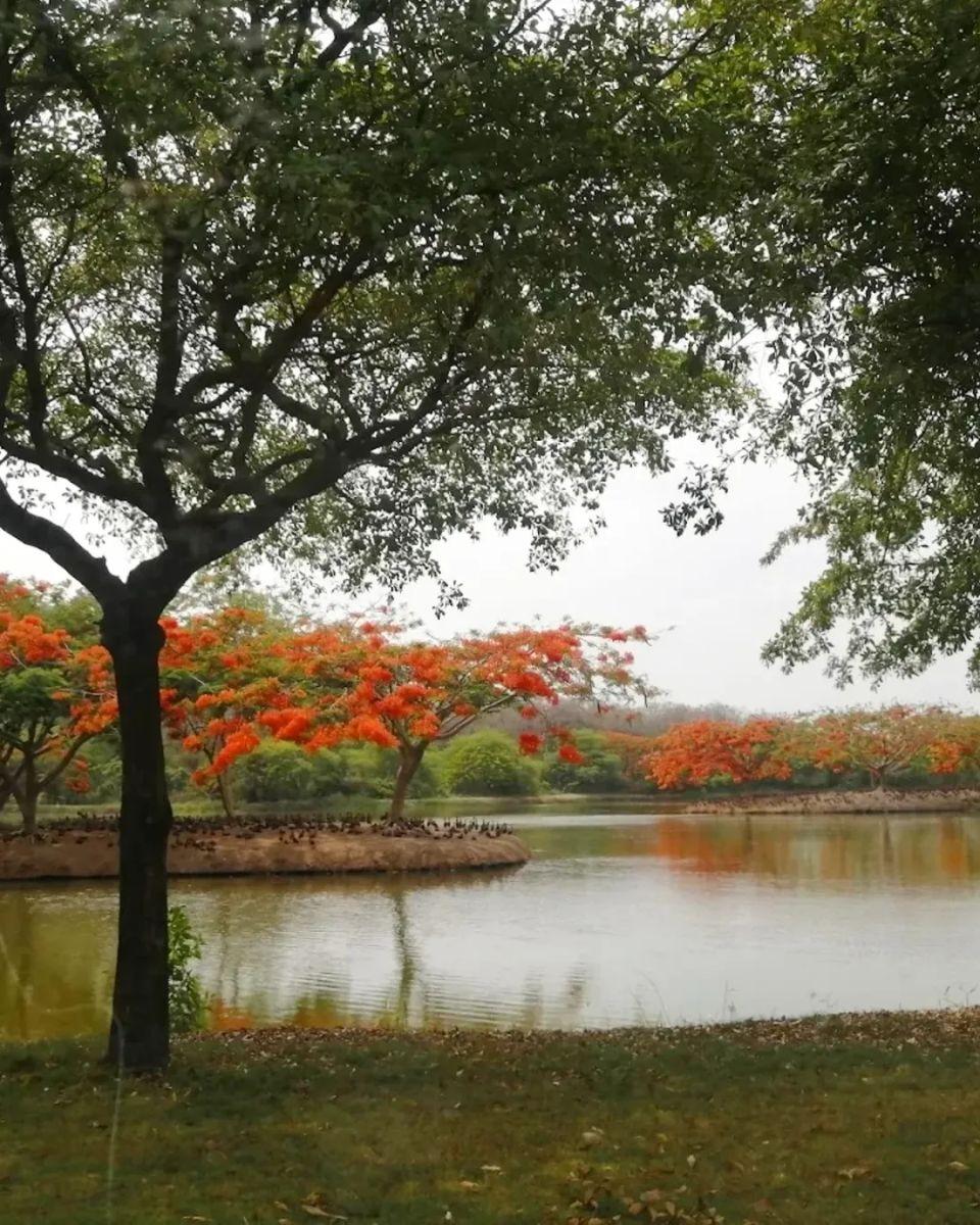 Terreno de 750 m² en Venta en Exclusiva Urbanizacion de Samborondón, La Ribera del Batán, Guayas — imagen 3