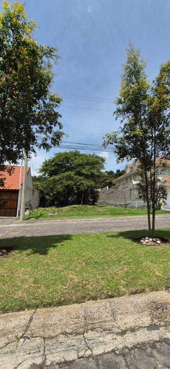 Terreno de 504 m² en Venta en Cumbayá - Urbanización Pillagua — imagen 3