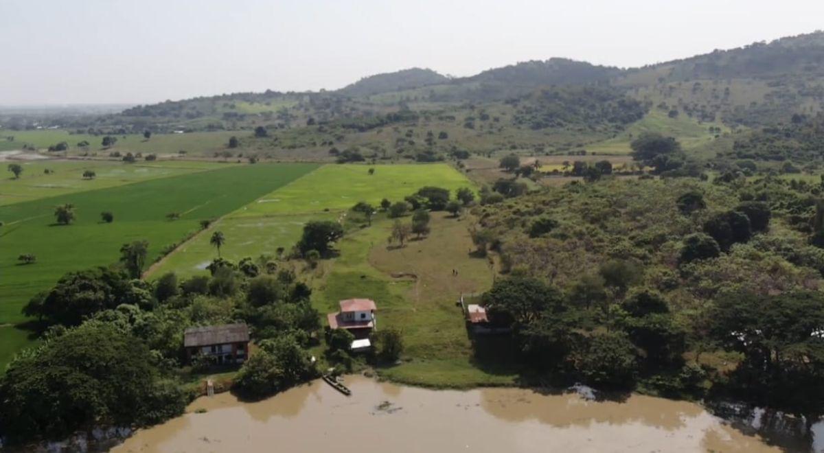 Venta Terreno Agrícola Daule - A. Maidana, Guayas — imagen 4