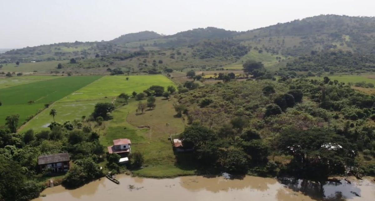 Venta Terreno Agrícola Daule - A. Maidana, Guayas — imagen 3