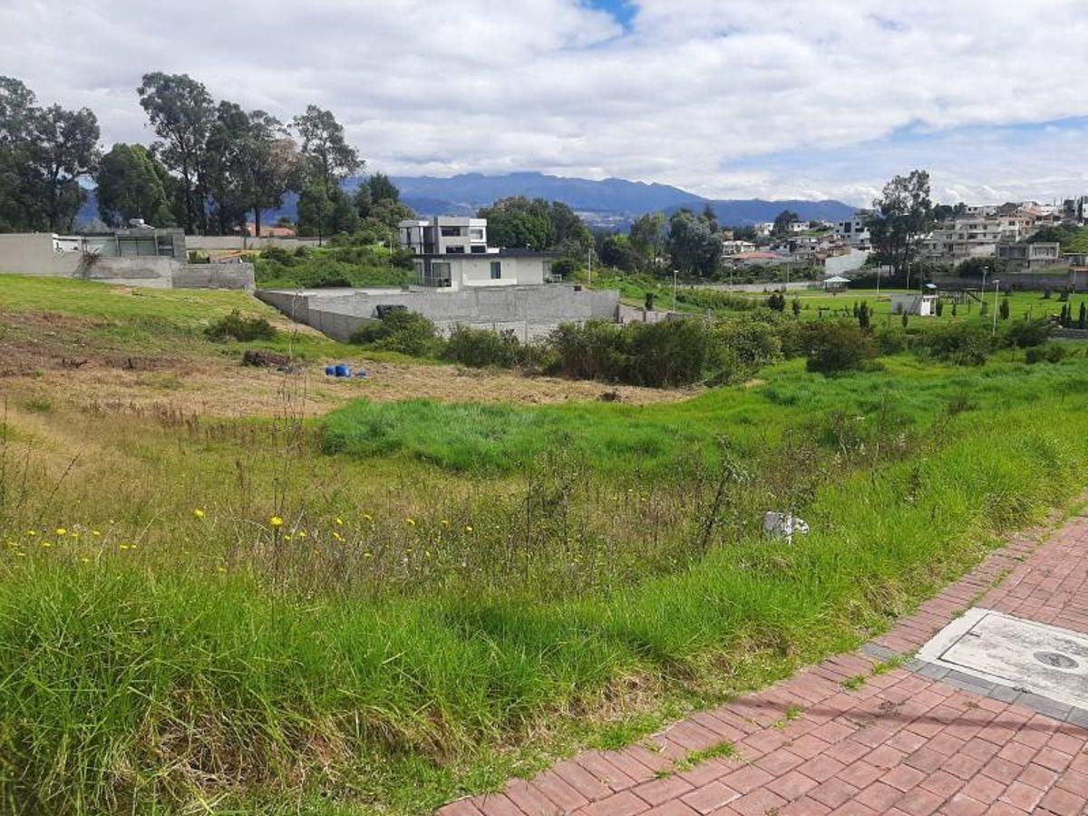 Terreno en Venta Urbanización Navarra II Valle de Los Chillos — imagen 5