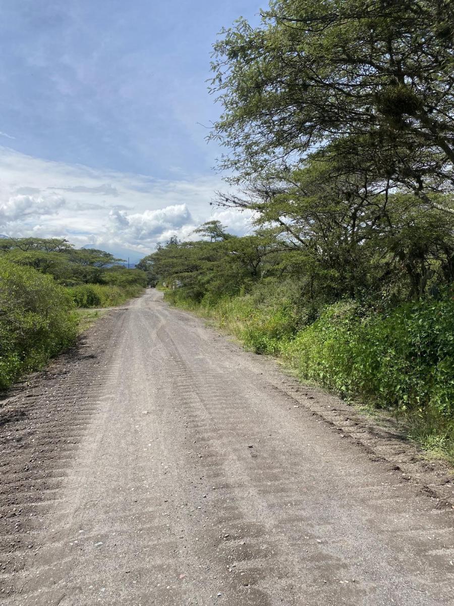 Terreno de Venta en Puembo. Sector Nápoles, Amplia Plusvalía. Todavía Excelente Precio — imagen 5