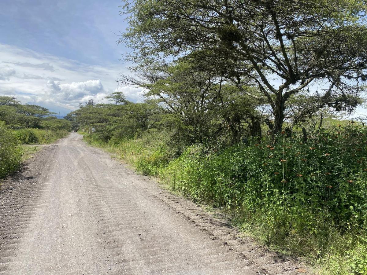 Terreno de Venta en Puembo. Sector Nápoles, Amplia Plusvalía. Todavía Excelente Precio — imagen 4