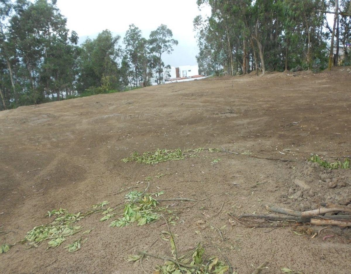Vendo Terreno 4.661 m² Sector Colegio Terranova (Cm) — imagen 4