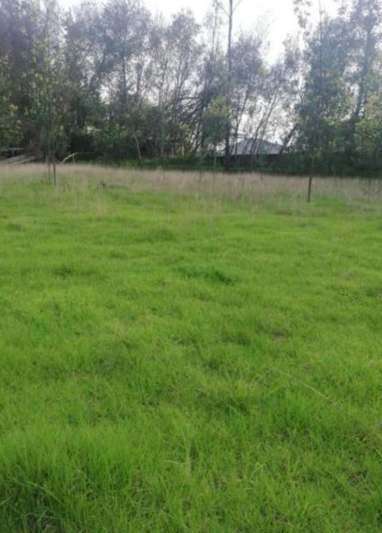Terreno en Pifo — imagen 5