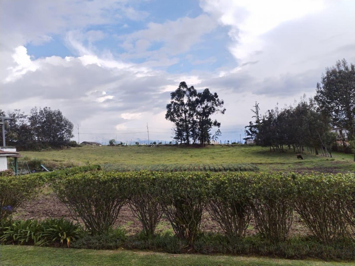 Terreno en Pifo — imagen 3