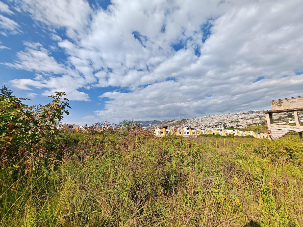 Gran Oportunidad de Inversión en Terreno de 12.220 m² en Av Simón Bolívar — imagen 5