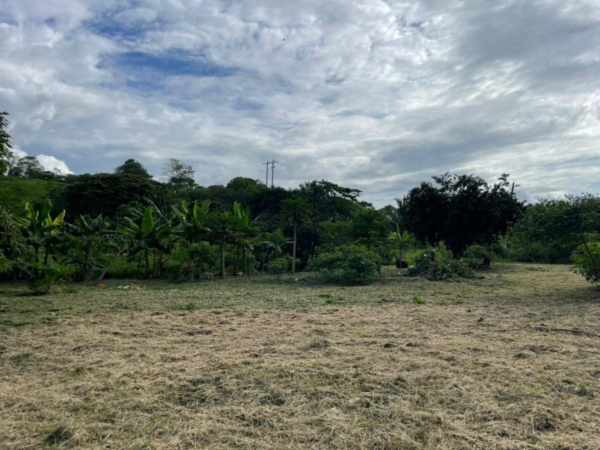 Vendo Lindo Terreno de 2000 m en Jama, Manabi, Manabí — imagen 5