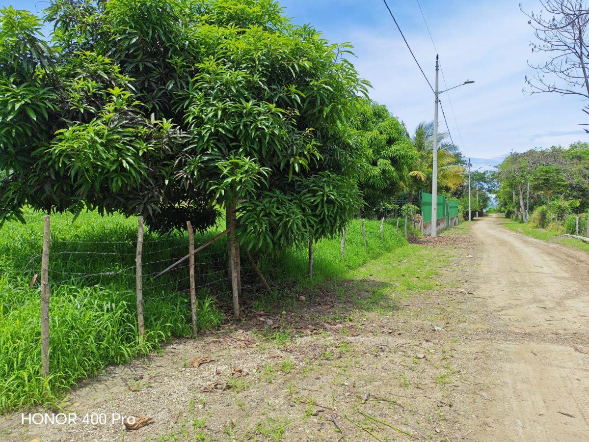 Vendo Lindo Terreno de 2000 m en Jama, Manabi, Manabí — imagen 4