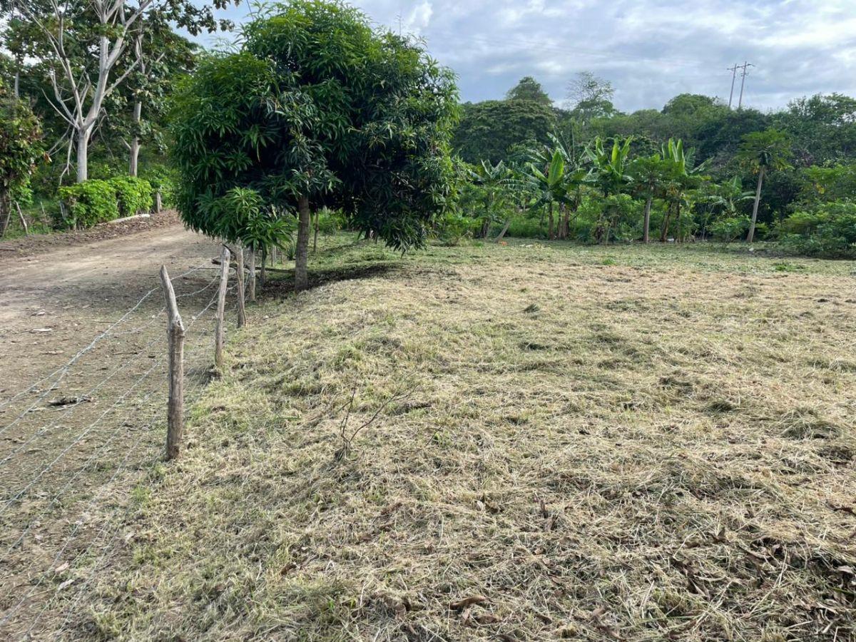 Vendo Lindo Terreno de 2000 m en Jama, Manabi, Manabí — imagen 3