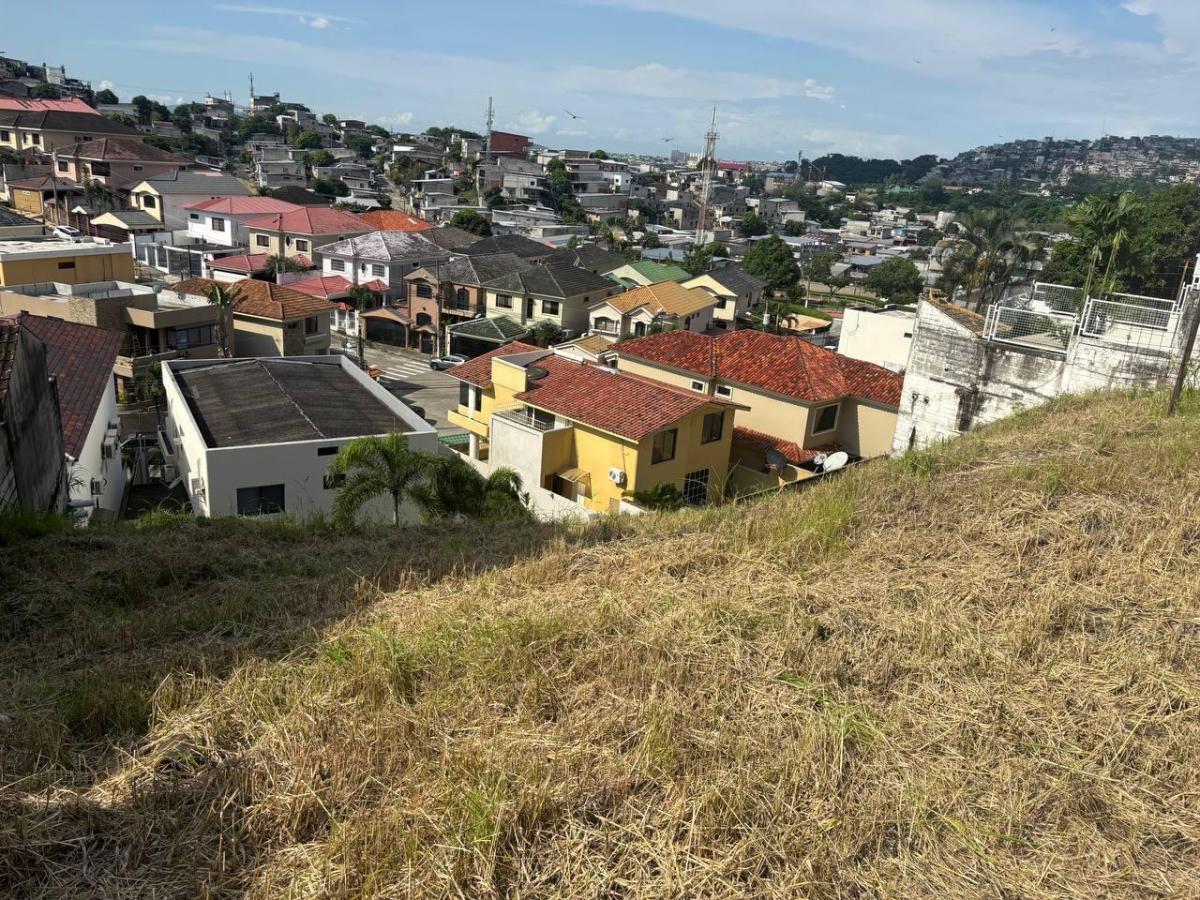 Venta de Terreno en Ceibos Norte (Gwong), Guayas — imagen 4
