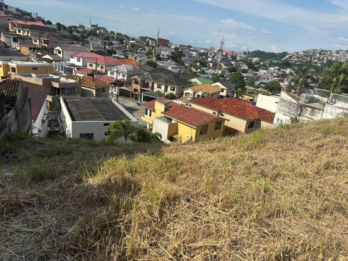 Venta de Terreno en Ceibos Norte (Gwong), Guayas — imagen 3