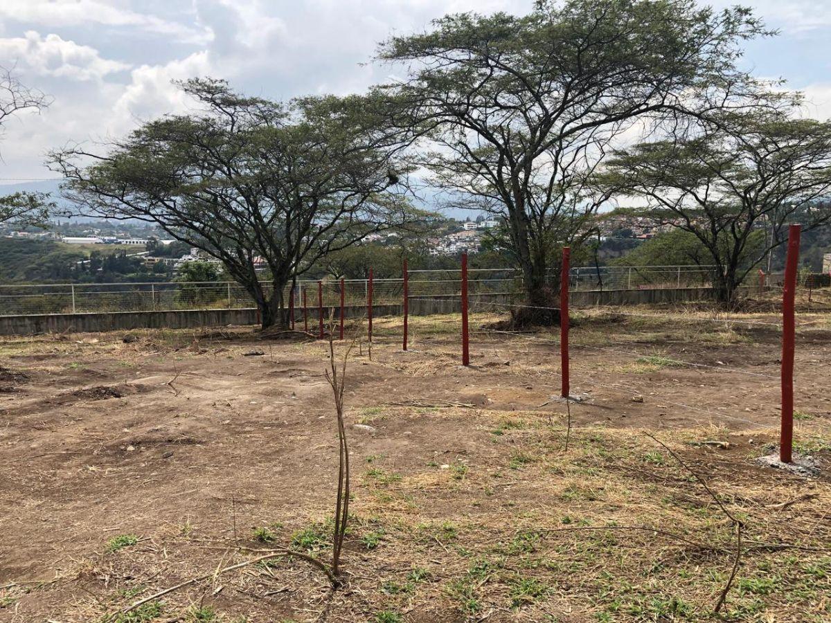 Terreno de Venta en Urb Montearomo 1002 m² — imagen 5