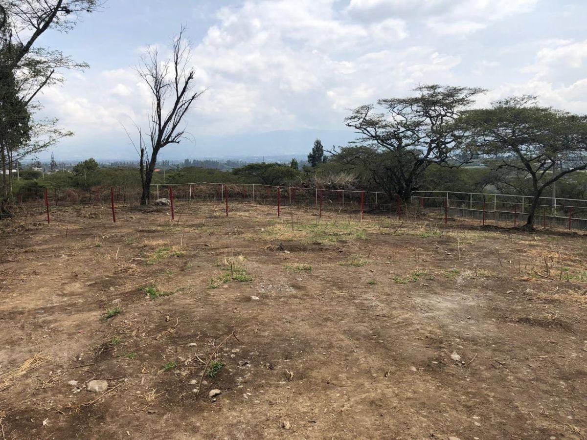 Terreno de Venta Urb Montearomo 1007 m² — imagen 5