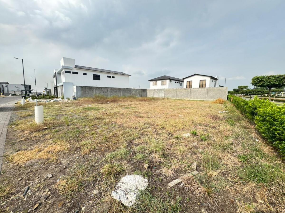 Terreno en Venta Ubicado en en Ciudad Celeste - Samborondón, Guayas — imagen 5
