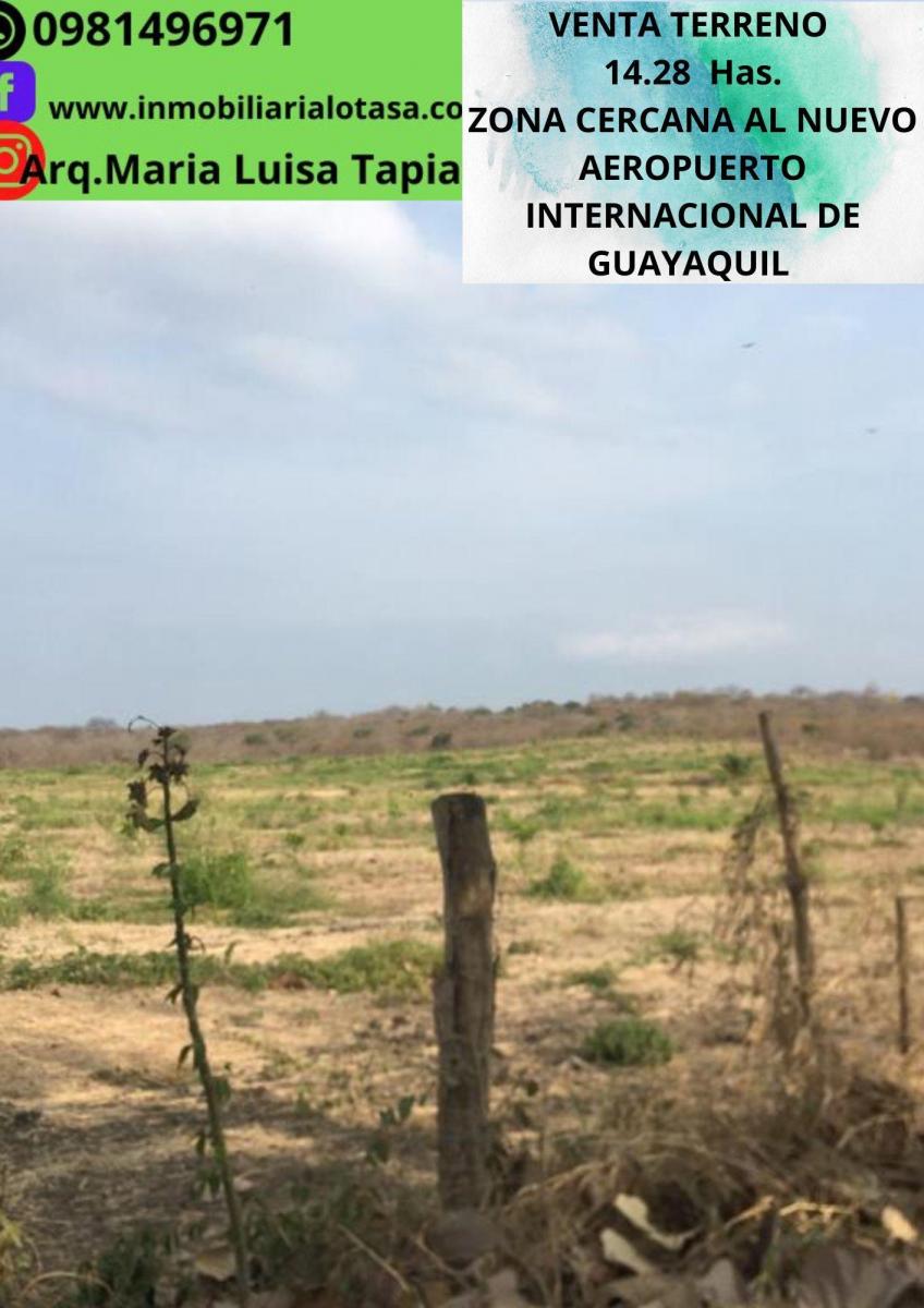 Venta Terreno 14.28 Has Via Gquil - Salinas, Sector Chongon, Guayas — imagen 10