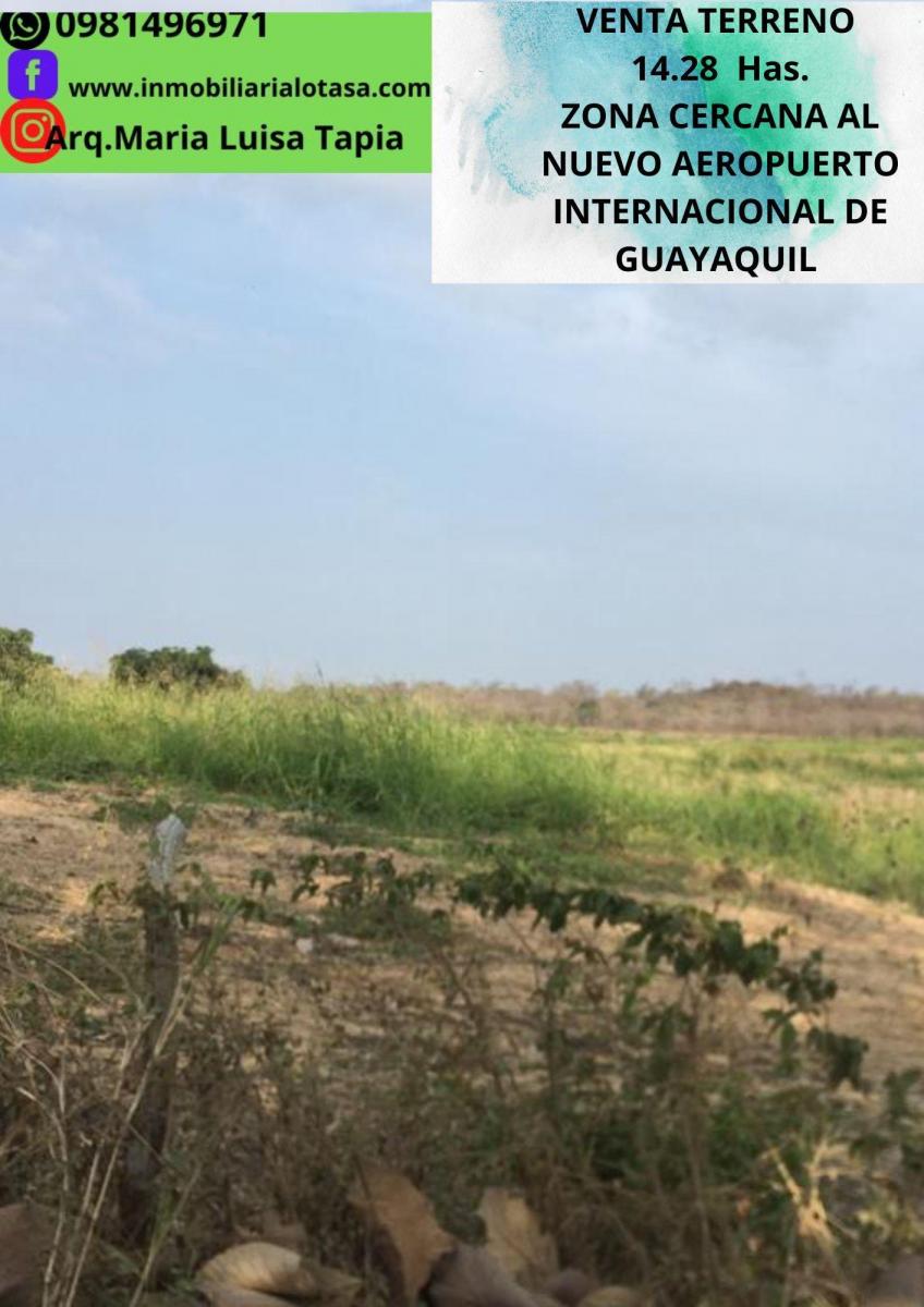 Venta Terreno 14.28 Has Via Gquil - Salinas, Sector Chongon, Guayas — imagen 8