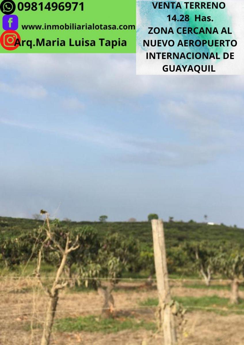 Venta Terreno 14.28 Has Via Gquil - Salinas, Sector Chongon, Guayas — imagen 7