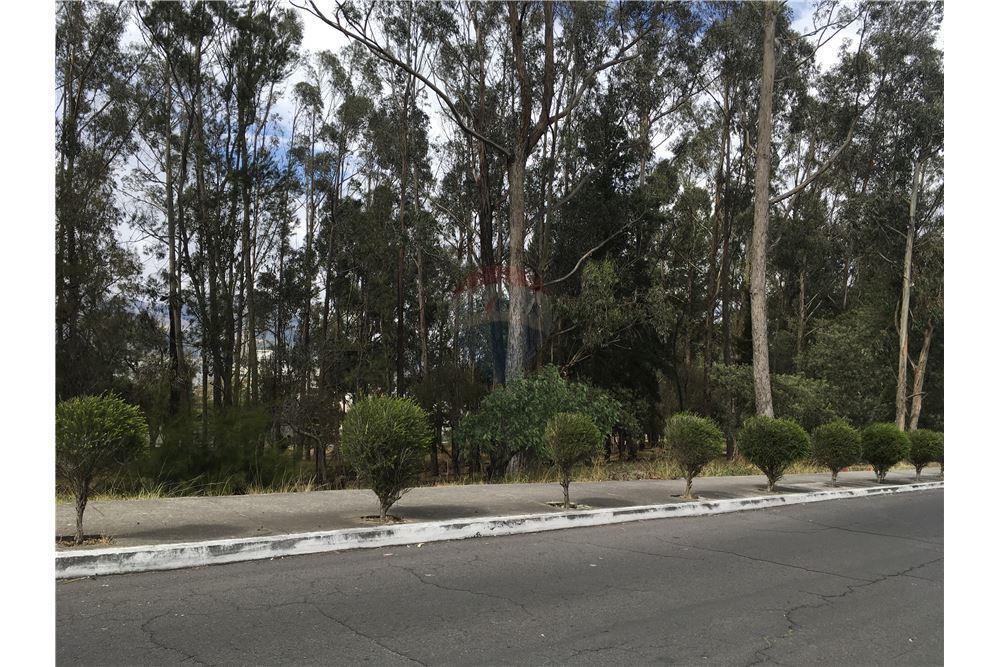Vendo Excelente Terreno 980 m² Urbanizacion El Condado — imagen 4