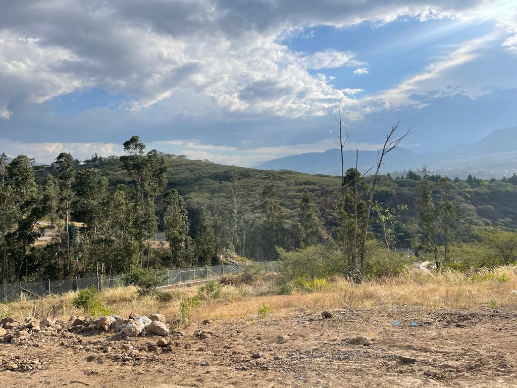 Terreno de Venta, Sector Collaqui, Tumbaco, Urbanización de Lujo — imagen 3