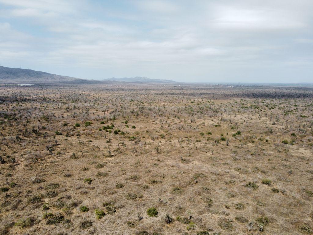 Terreno Agrícola en Venta en Vía Gquil - Salinas — imagen 5