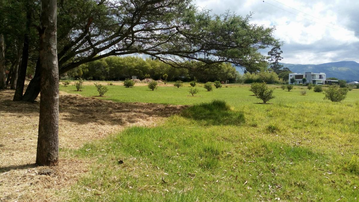 En Venta Lotes de 2500 m² Dentro de Urbanización en Tumbaco Las Peñas — imagen 5