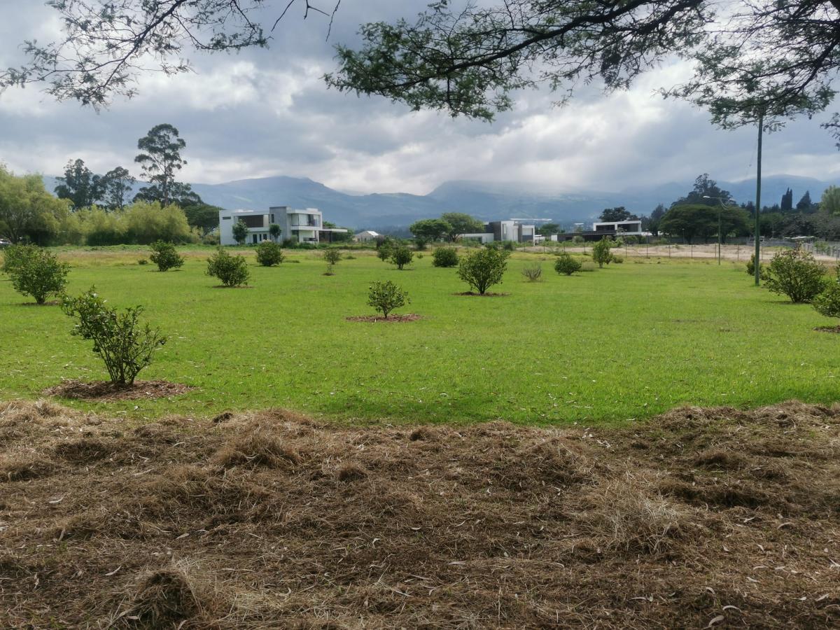 En Venta Lotes de 2500 m² Dentro de Urbanización en Tumbaco Las Peñas — imagen 4