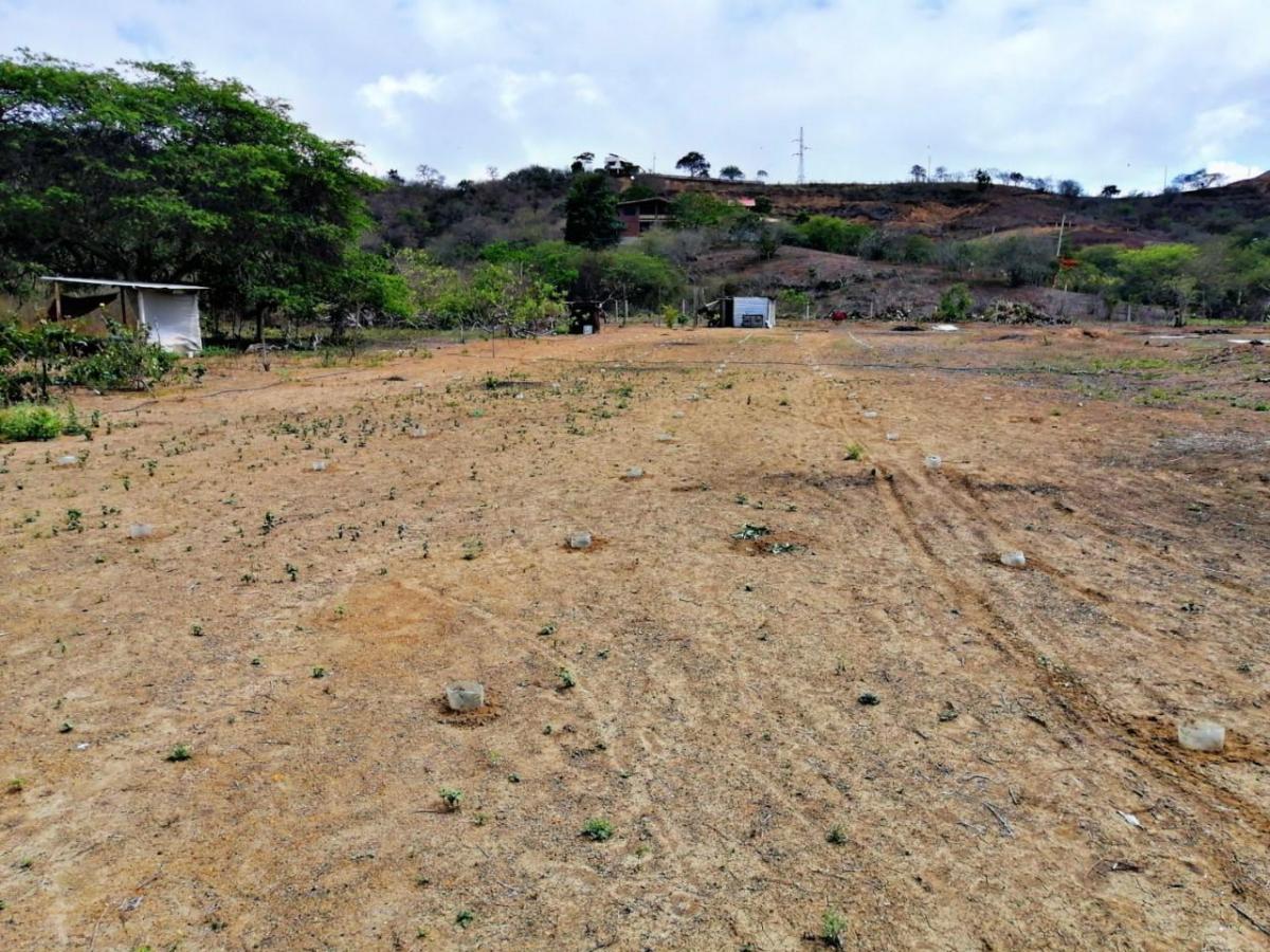 Venta Terreno 10.374,4 m² Manglaralto a 3 Minutos de Montañita — imagen 5