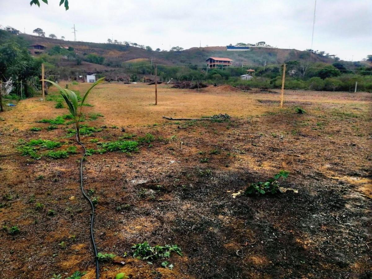 Venta Terreno 10.374,4 m² Manglaralto a 3 Minutos de Montañita — imagen 4