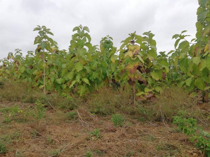 Vendo Propiedad, Vía a La Costa, Embalse Chongon, Guayas — imagen 3