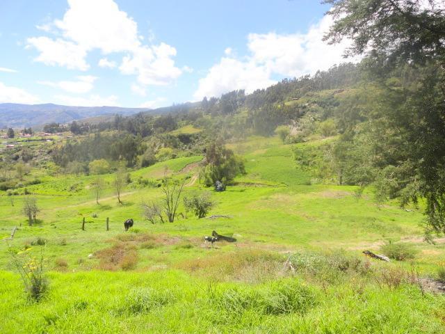 Hacienda 10 Hectáreas Challuabamba Alto, Azuay — imagen 5