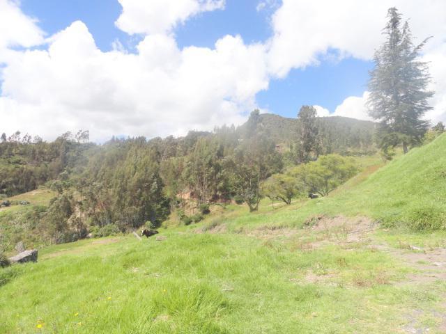 Hacienda 10 Hectáreas Challuabamba Alto, Azuay — imagen 4
