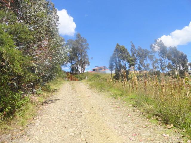 Hacienda 10 Hectáreas Challuabamba Alto, Azuay — imagen 3