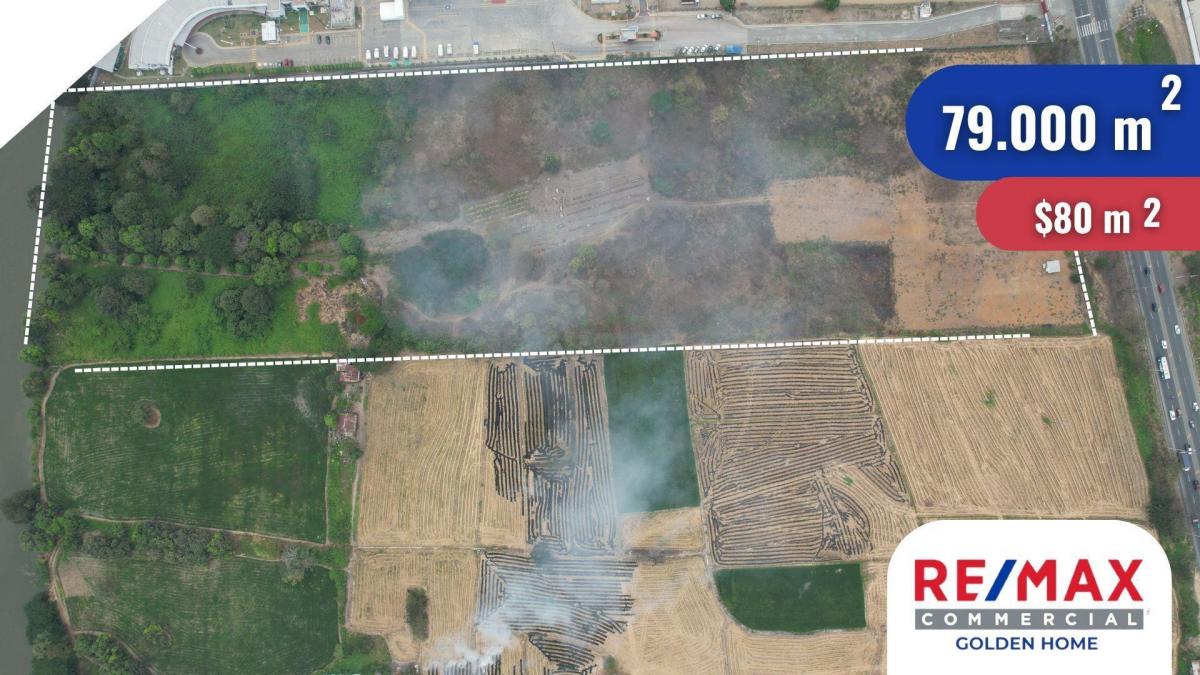 Terreno en Venta Via a Daule 79.000 m², Guayas — imagen 5