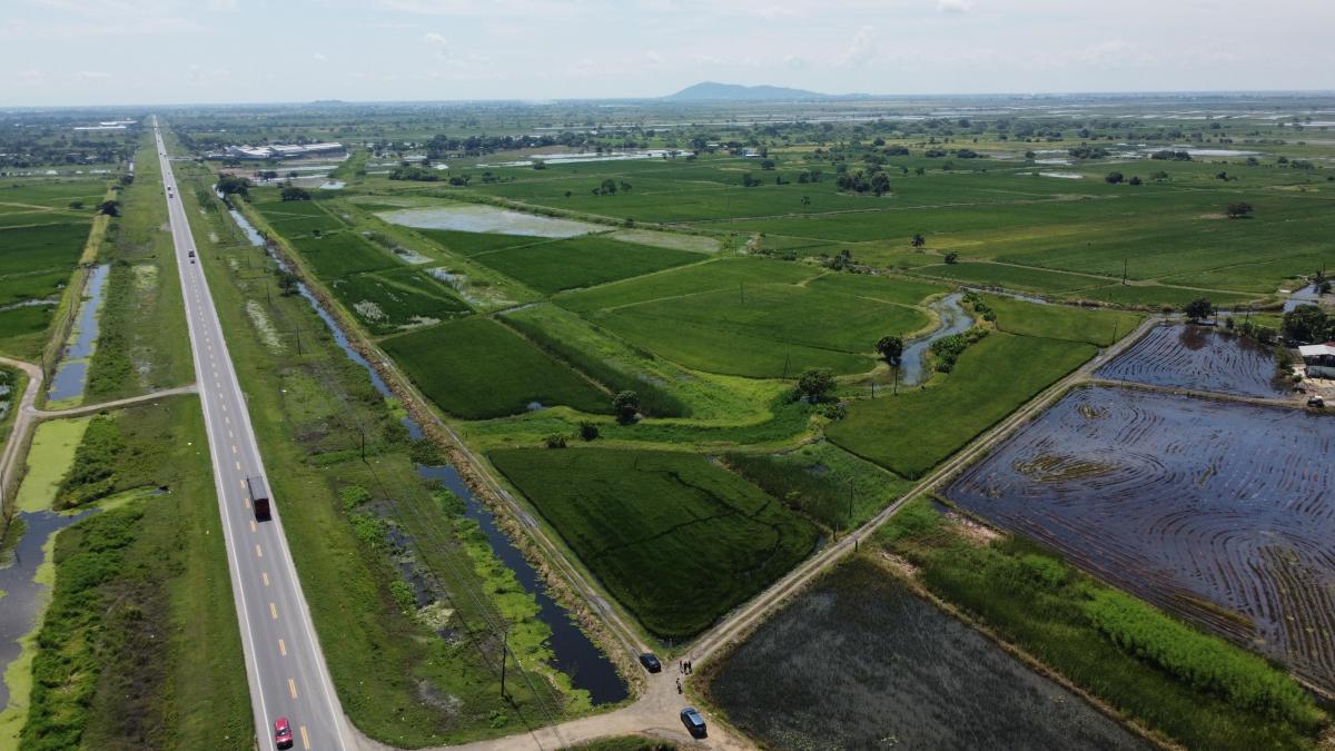 Via Al Pan Macrolote en Venta - Yaguachi - A. Marin, Guayas — imagen 3