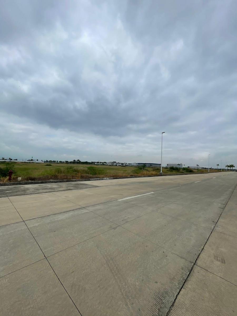 Vendo Terreno Piady, Sector Duran, 5000 m², Excelente Ubicacion, Guayas — imagen 5