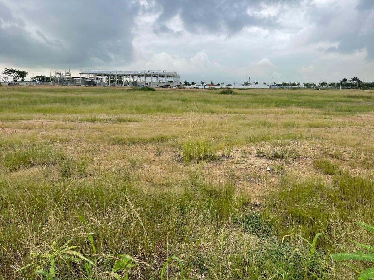 Vendo Terreno Piady, Sector Duran, 5000 m², Excelente Ubicacion, Guayas — imagen 4
