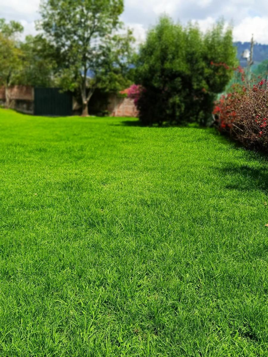 Hermoso Terreno de 2.000 m² Vía a Pillagua — imagen 5