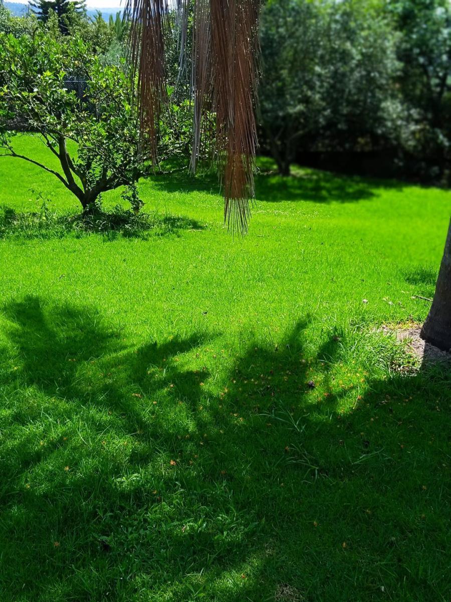 Hermoso Terreno de 2.000 m² Vía a Pillagua — imagen 4