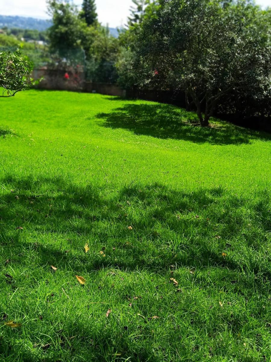 Hermoso Terreno de 2.000 m² Vía a Pillagua — imagen 3