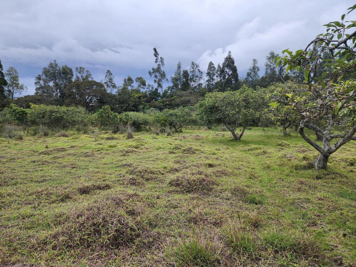 Para Constructores Vendo Terreno en Puembo 20.990 Mtrs Cos Pb 50% Cos Total 100% — imagen 5