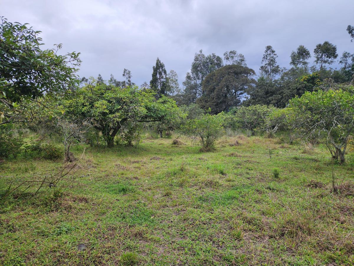 Para Constructores Vendo Terreno en Puembo 20.990 Mtrs Cos Pb 50% Cos Total 100% — imagen 3