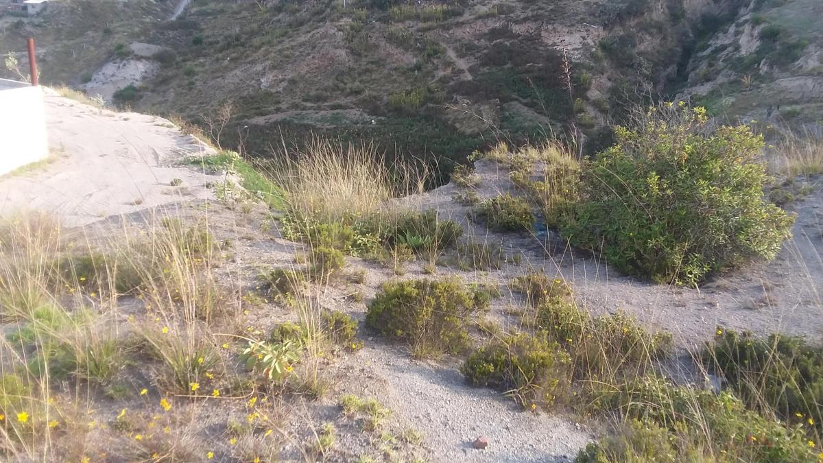 Venta Terreno en La Mitad del Mundo — imagen 3