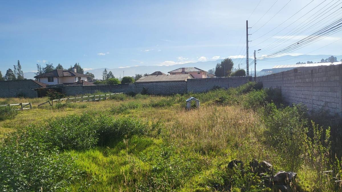 Venta Lote de 2577 m Dentro de Urbanización Sector Bodegas del Supermaxi — imagen 4