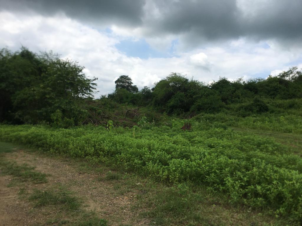 Venta 250.000 m² (25 Has) Chongón - Daular, Vía a La Costa Km. 27, Guayas — imagen 5