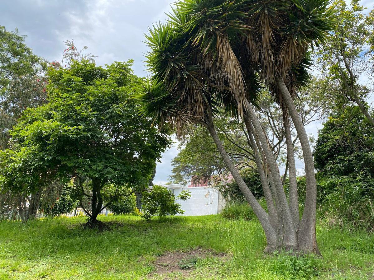 Vendo Terreno, Tumbaco, 970 m², Sector La Viña Alta! Excelente Oportunidad! — imagen 4