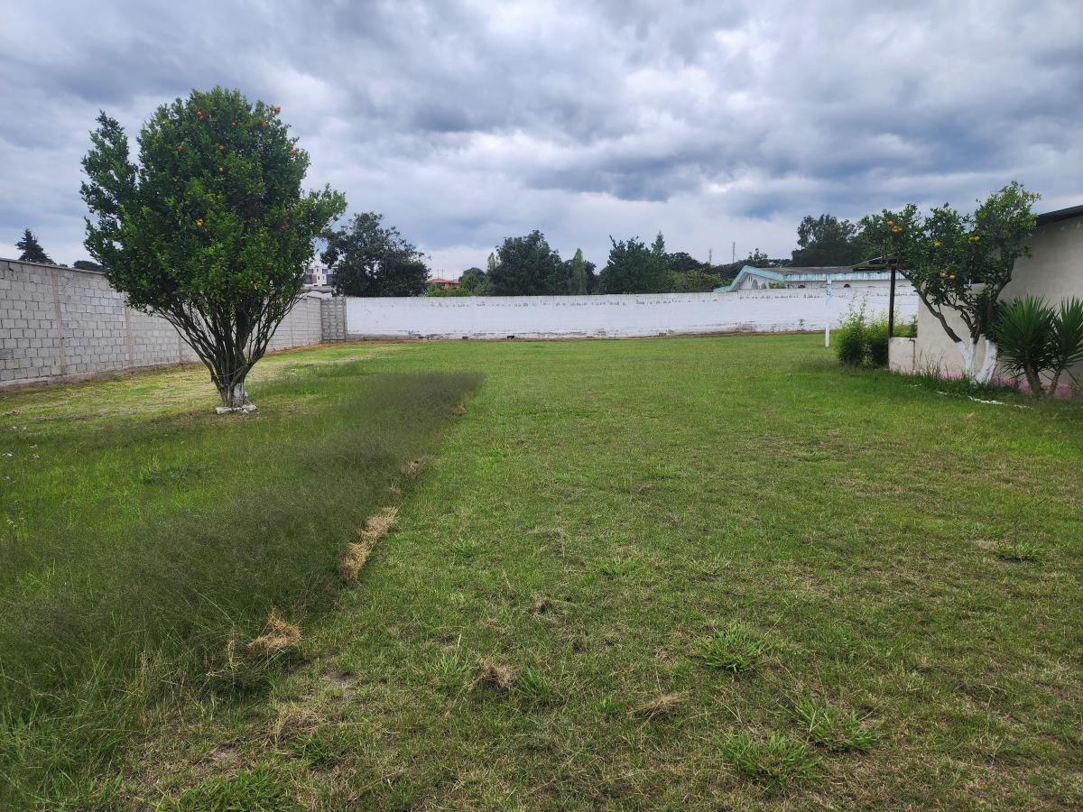Bonito Terreno de Venta 1 Hectarea en Tumbaco Aurelio Davila — imagen 3