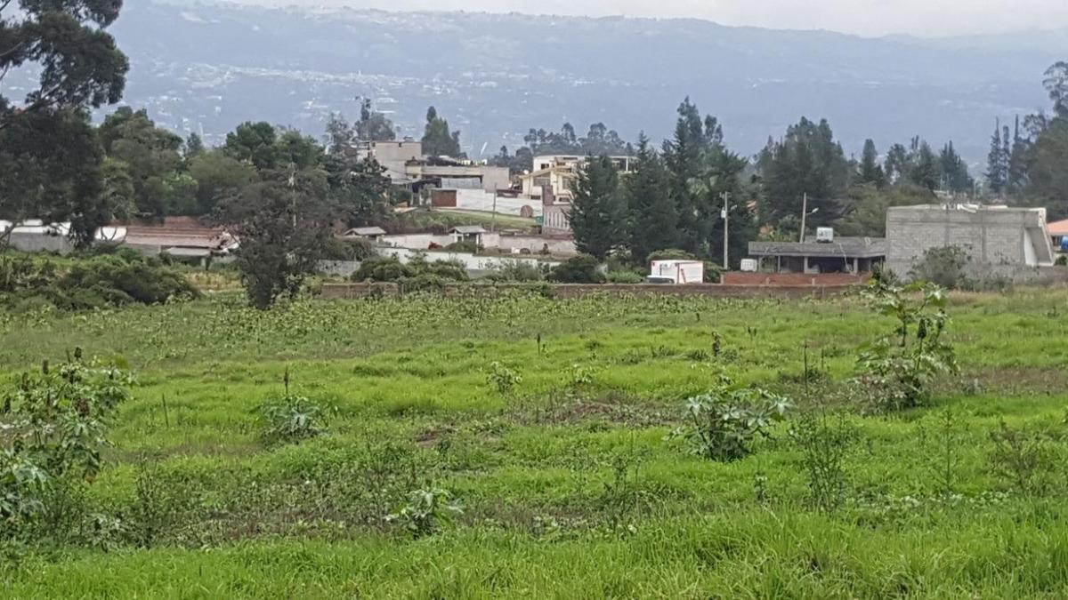 Hermosos Terrenos en Venta en Puembo Para Constructor o Negocio — imagen 5