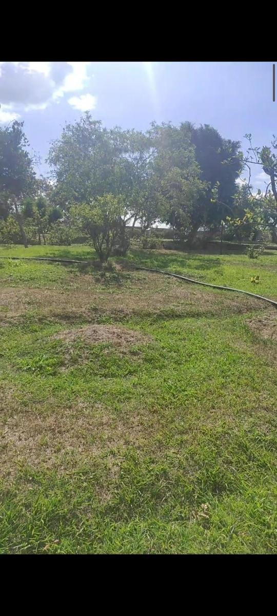 Hermosos Terrenos en Venta en Puembo Para Constructor o Negocio — imagen 3