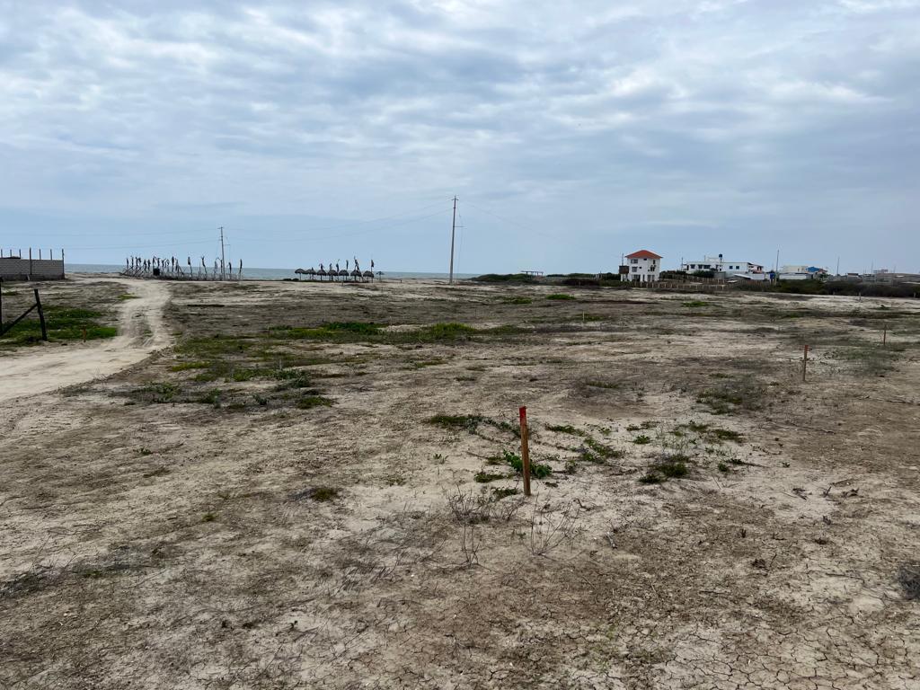 Vent 2 Terrenos de 2 Has C/u. Cantón playas,(Sector El Pelado), Guayas — imagen 5